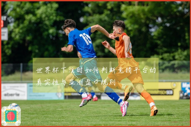 世界杯下注时如何判断竞猜平台的真实性与亚洲盘口规则