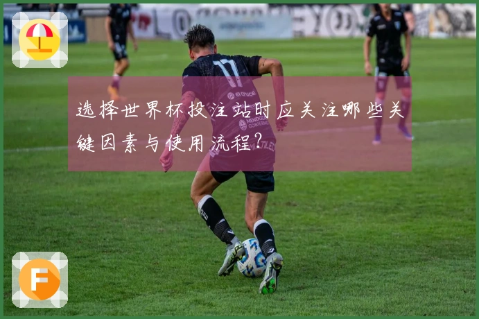 选择世界杯投注站时应关注哪些关键因素与使用流程？