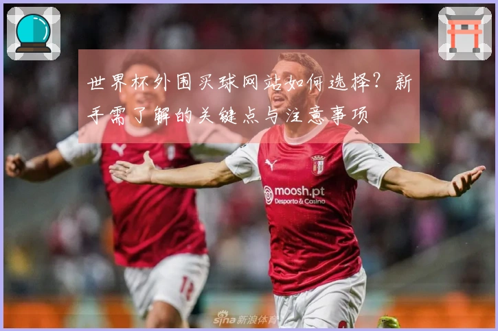 世界杯外围买球网站如何选择？新手需了解的关键点与注意事项